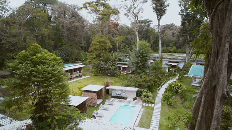 Sonora Caribbean Jungle Retreat