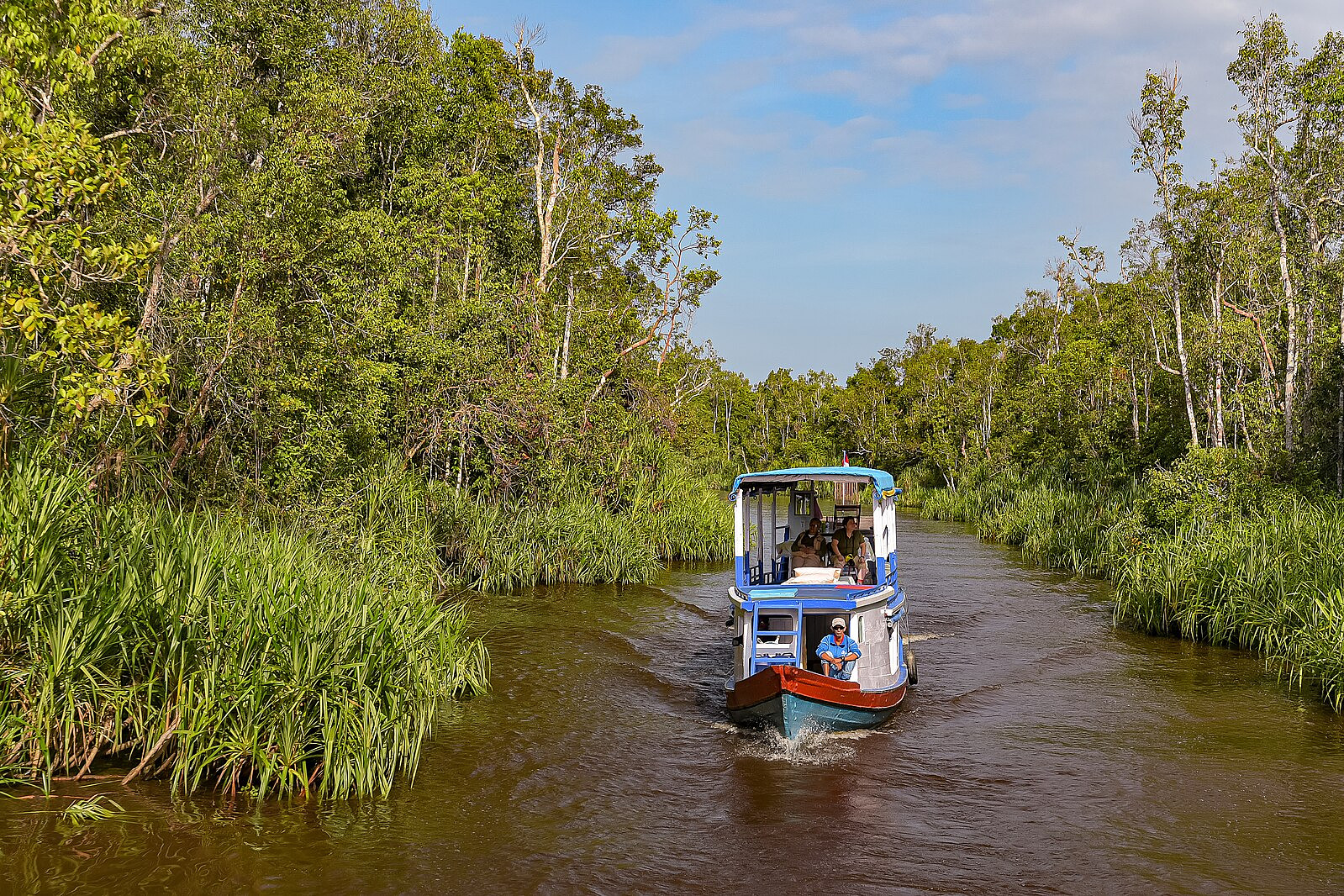 Tanjung Puting National Park Indonesia Borneo feature