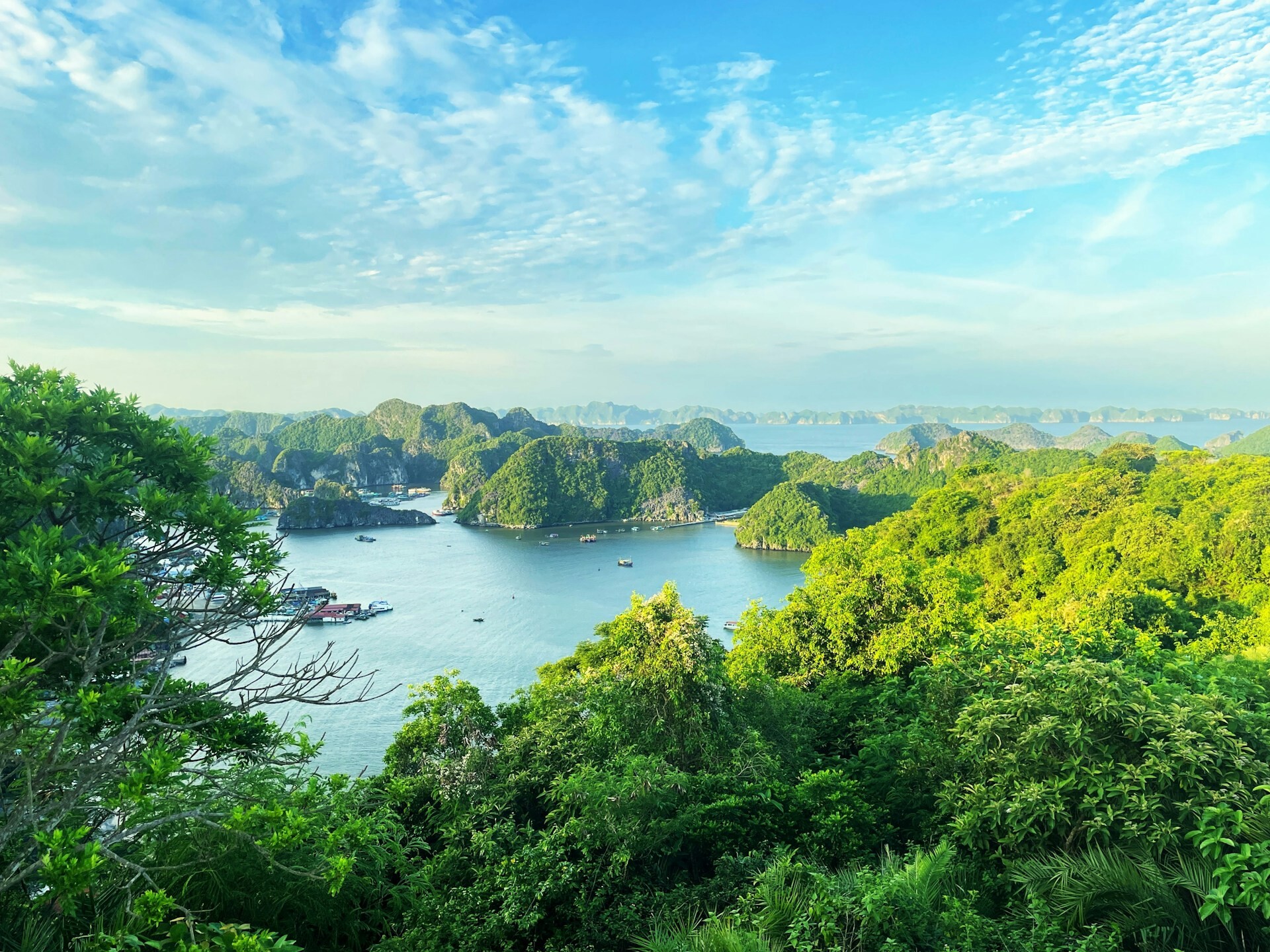 Lan Ha Bay, Vietnam Feature