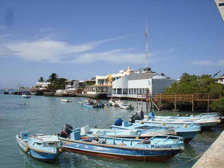 Puerto