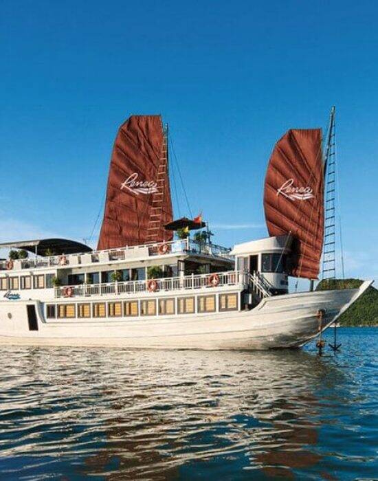 Renea Cruises