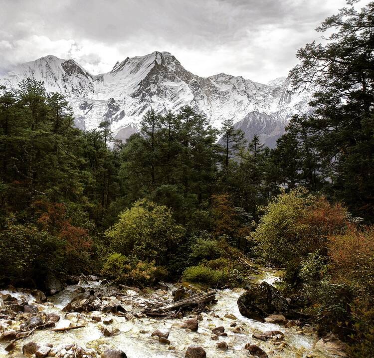 Bimthang