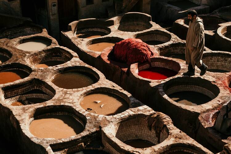 Fez Tannery