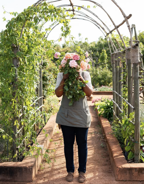 Babylonstoren flowers - featured