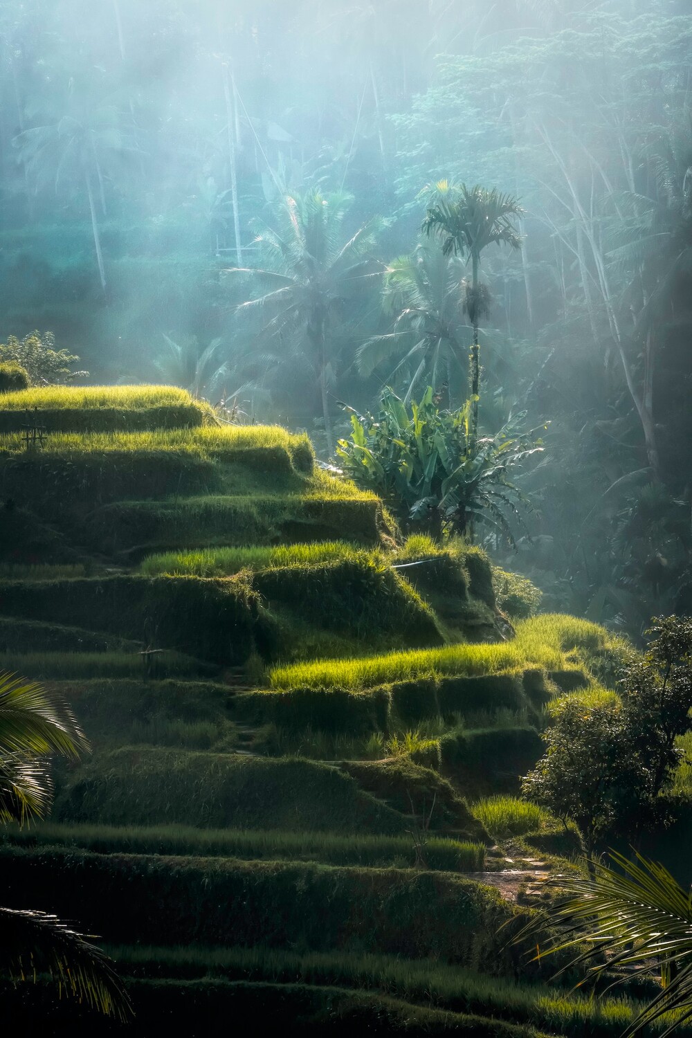 Ubud
