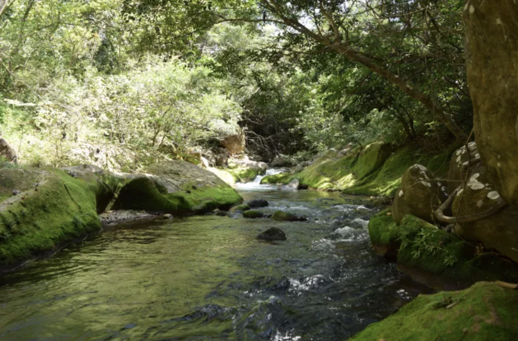Red Pond hike @ Hacienda Guachipelin