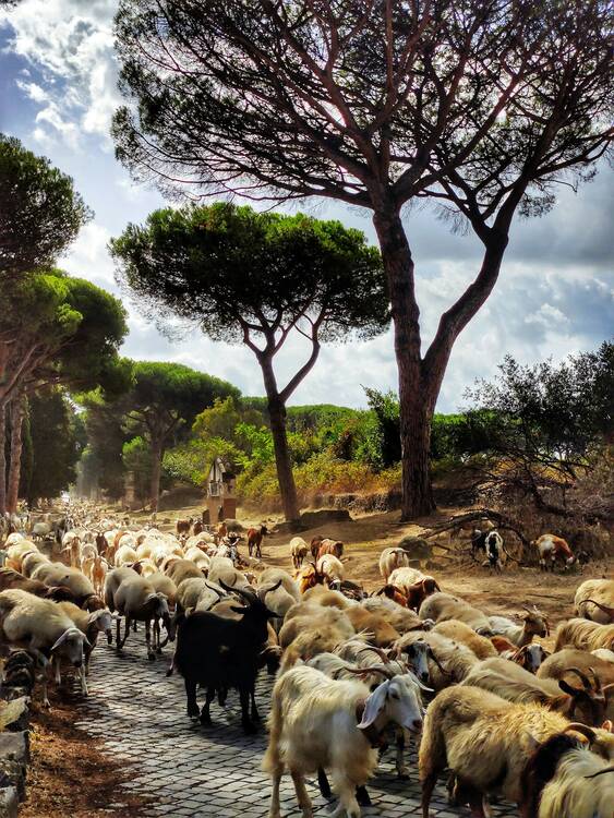 Via Appia Antica